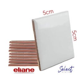 Azulejo 5×5 Brilho Eliane – Personalizado